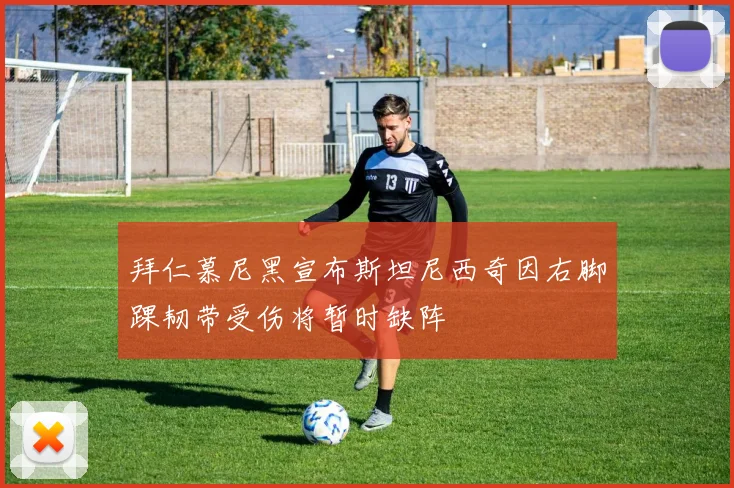 拜仁慕尼黑宣布斯坦尼西奇因右脚踝韧带受伤将暂时缺阵